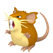 raticate 0 lys